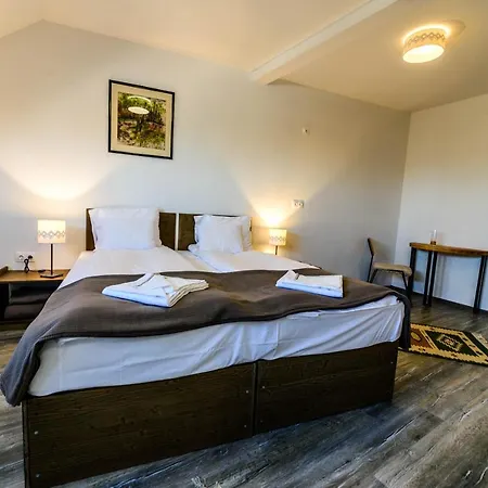 Guest house Lina Agropanzio Tomesti (Harghita)